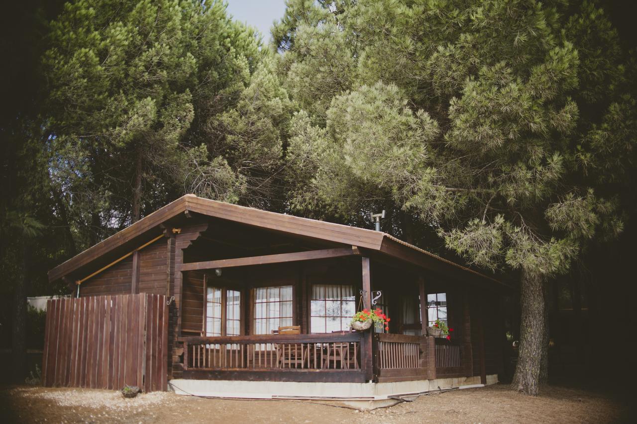 Kibbutz Ortal Tourism Hotel Екстериор снимка